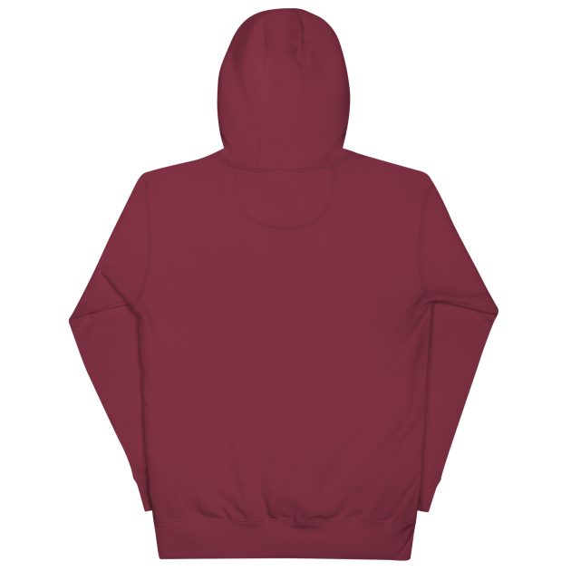 ZHF Unisex Hoodie - Image 3